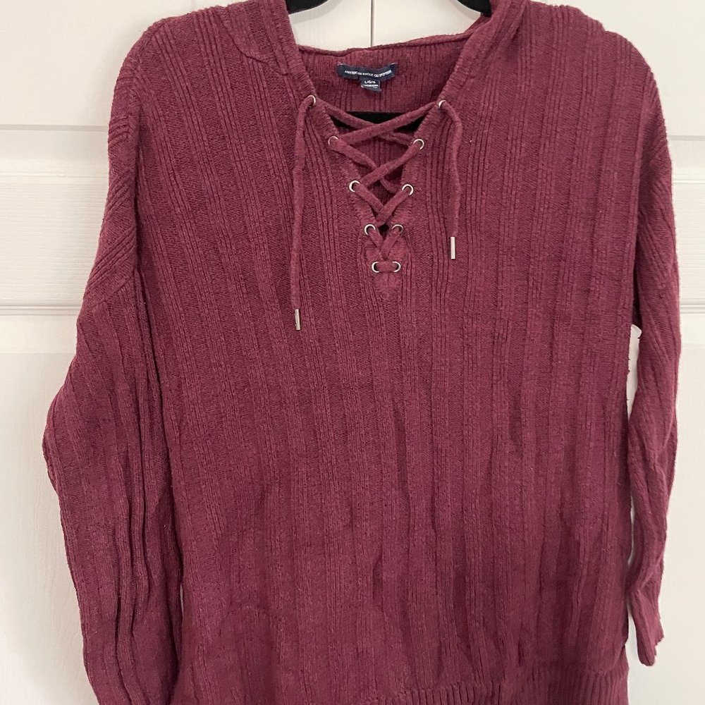 American Eagle Hooded Sweater